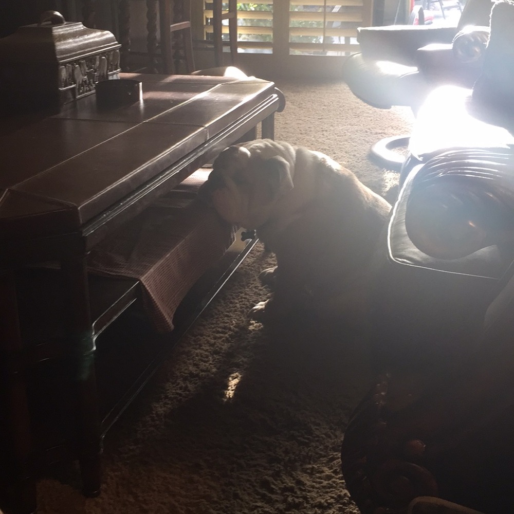 Meet your Posher, Sheila